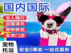 桂林航空货运国际宠物托运 【国